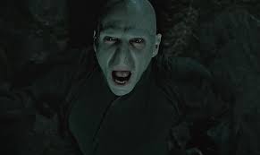 Every Single Tom Riddle Moment In The Harry Potter Books