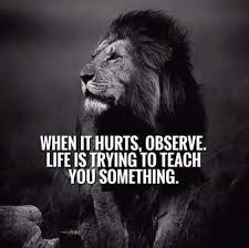 inspirational quotes about life for whatsapp status best positive inspirational quotes great inspirational quotes lion quotes inspirational quotes motivation