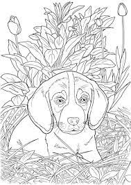 Cute dog coloring page for kids. 30 Free Printable Cute Dog Coloring Pages