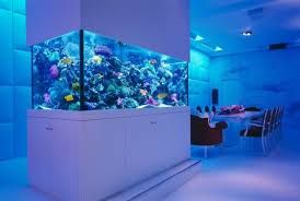 Decor Aquarium Elegant Pour Que Vos Poissons Soient Heureux Fish Tank Design Custom Aquarium Aquarium Design