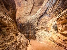 Capitol reef is a national park comprising 378 square miles of sandstone canyons, ridges, buttes, and monoliths. What To Do In Capitol Reef