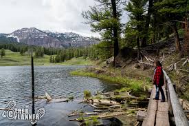 The fishing here is limited to two species of trout, cutthroat and lake trout. Trout Lake Yellowstone National Park The Trek Planner
