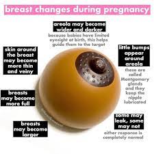 Let Chat Breast The Breastmilk Queen Amy Mcglade Facebook