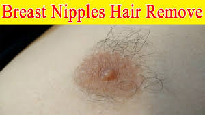 My breasts have a lot of hair on them i grow nipple hair. How To Remove Breast Nipple Hair Amazing Result Beauty Hair Nail Skin Tutorials