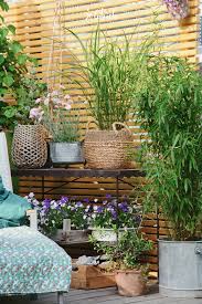 6 Blumentopfinspirationen Fur Dein Outdoorwohnzimmer In 2020 Pflanzen Balkon Pflanzen Bepflanzung