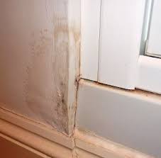 The Majority Of Water Leaks Are Associated With The Silicone Sealant Joint Between The Shower Tray Walls And Shower Shower Tray Shower Enclosure Shower Doors