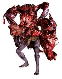 Image result for Duvalia