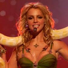 Image result for britney spears python