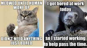 25 Bored Memes That Are So Boring They Actually Stop Time