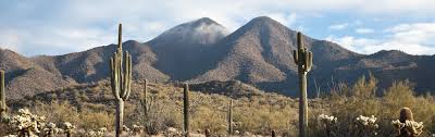 Sometimes a doctor passes a thin viewing scope (endoscope) into the nose to inspect the sinus openings and to obtain samples of fluid for culture. Visit Our Ent Treatment Surgery Center In Las Vegas Nv