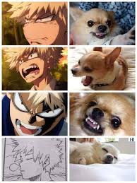 Mha Bnha Picture Book Memes My Hero Hero My Hero Academia Manga