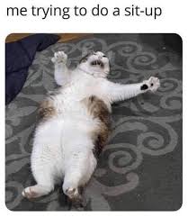 May 24 2019 cats in goggles. Funny Memes And Pics To Laugh At 32 Images Funny Gallery