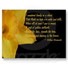 Yellow Daffodil William Wordsworth Poem Postcard Zazzle Com Poems William Wordsworth Poems Daffodils Poem