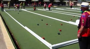 The world through cat's eyes. Packabocce Portable Bocce Court Packaworld