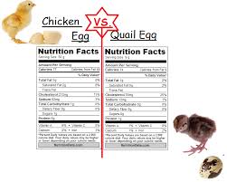 I Love My Quail Chicken Egg Vs Quail Egg Nutrition Facts