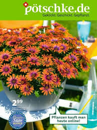 Sommerboutique 2019 Katalog Garten