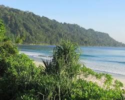Image of Havelock Island Radhanagar Beach