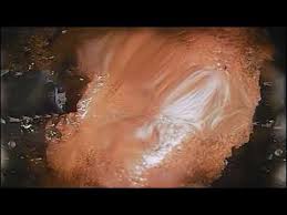 Hi viewers welcome to our channel veg village food today we prepared elephant foot yam recipes with rice elephant foot yam fry. First Contact To The Molten Core Debris In Fukushima Reactor 2 13th Feb 2019 Youtube