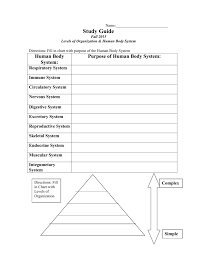 Study Guide Levels Of Organization And Human Body Systems