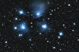 The song is about the 7. Matariki By Sharon Holt National Library Of New Zealand