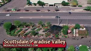 Get reviews, hours, directions, coupons and more for moon valley nurseries at 9040 s eastern ave, las vegas, nv 89123. Moon Valley Nurseries Arizona Scottsdale Paradise Valley Location Youtube