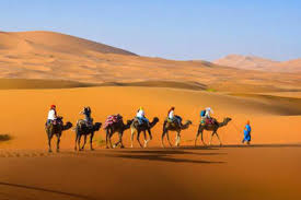 Firstly, we will take you to visit the imperial cities, fes. Merzouga Camel Trekking Overnight Camel Trek Merzouga Activities