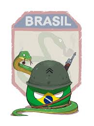 Brazil do you ready to lose? Brazilball Polandball Wiki Fandom
