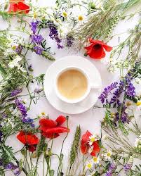 Coffee tree colorful plant with beans and flowers in blossom, coffee tree plant and green leaves, vector illustration isolated on white background. Resultado De Imagem Para Coffee And Flowers Pinterest Coffee Flower Coffee Photography Coffee Cafe