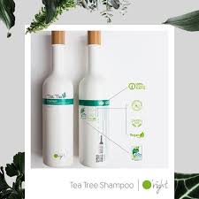 Tea Tree Shampoo Kepek Sorunu Ve Kasinan Sac Derisi Icin Saglikli Keyifli Arindirici Ab Organik Dogrulama Birimleri Tarafindan Onay Tonik Urunler Guzellik