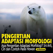 Apa Pengertian Adaptasi Morfologi Ini Arti Ciri Contoh Pada Hewan