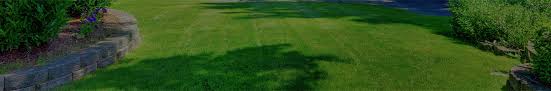 Landscape companies near me ™ is a company dedicated to providing services and products of gardening, turning your garden or green areas into cutting and maintenance of the lawn. Lawn Cutting In Lakefield On Grass Cutting Services Near Me