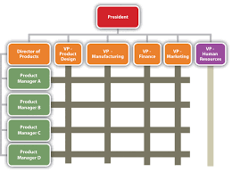 Judicious Geographical Organizational Chart 3 Types Of