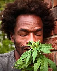 When I was a kid, they called me an African booty scratcher, well look at  me now! I'm an African American Tree Sniffer.