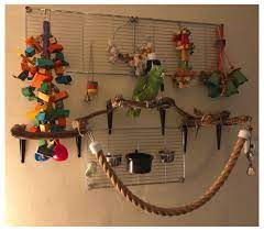 Parrot Toys Ideas Parrottoysideas In 2021 Diy Bird Toys Homemade Bird Toys Pet Bird Cage