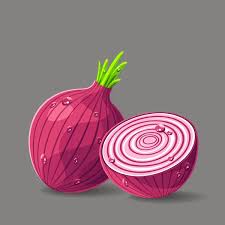 Red onion Vector Art Stock Images | Depositphotos