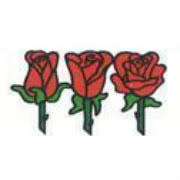 Flowerama 3135 1st avenue southeast. Flowerama Reviews Glassdoor