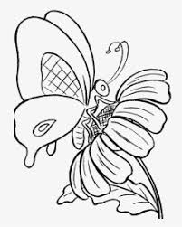 We did not find results for: Butterfly Flower Png Images Transparent Butterfly Flower Image Download Page 4 Pngitem