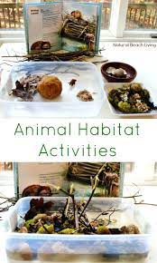 Animal Habitat Activities For Preschool Natural Beach Living Habitat Activities Animal Habitats Preschool Animal Habitats