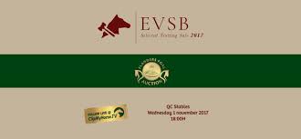 Who is jolanda de rover's daughter kira toussaint? Evsb By Tom Broucke Issuu