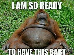 Pin On Cheeky Monkeys