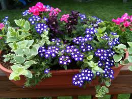 Essentially it follows the same principles as what we know as a window boxes for deck railing planter except fastened to the horizontal rail. Pin On Flowers