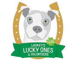 It's all about saving the animals. Adopt A Dog And Receive 100 For Dog Walks And Pet Sitting In Atlanta Pack Leaders Atl Dog Walking Cat Care And Pet Sitting Services