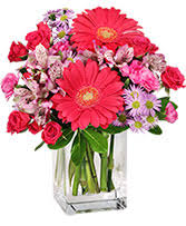 Hours may change under current circumstances Colorfulness Bouquet In Cape Coral Fl Say It With Flowers