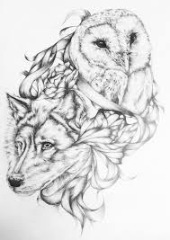 Owl And Wolf Wolf Drawing Tattoo Owl Tattoo Owl Tattoo Design