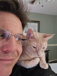 Lost Cat in Argyle Area