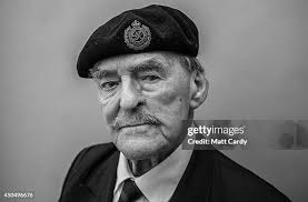 13 Rhino Ferries Stock Photos, High-Res Pictures, and Images