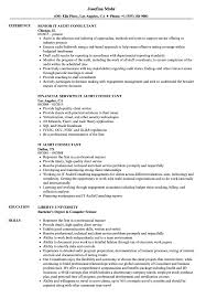 What is a financial consultant? It Audit Consultant Resume Samples Velvet Jobs