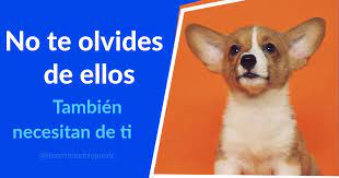 Amor Diferente Psicologia Positiva Psicologia Positivo