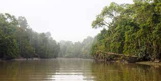 The river and its tributaries serve as the main access route to the vast sarawak hinterland which is dotted by small frontier towns and longhouses inhabited by the state's many tribes. Kinabatangan River Wikipedia