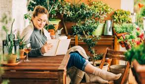 Keys to planting and growing a miniature garden indoors. House Garden Design Ideas Plants Furniture And Arrangement